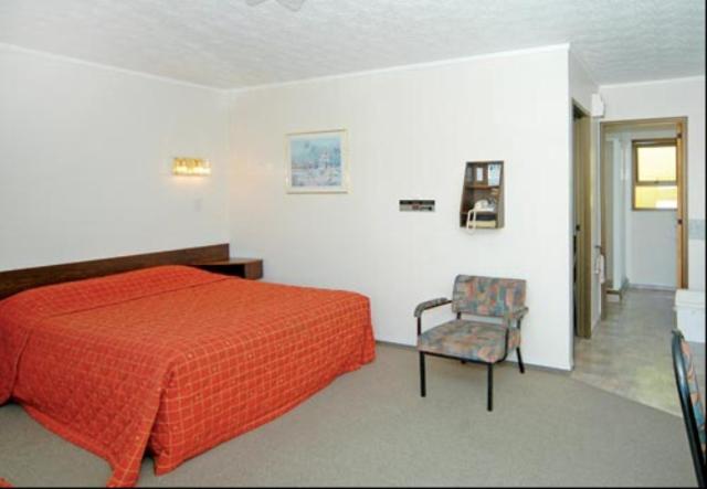 Ace High Motor Inn Napier Exterior photo